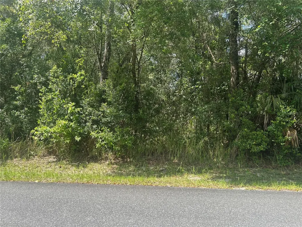 3118 E Deal Street Inverness FL 34453