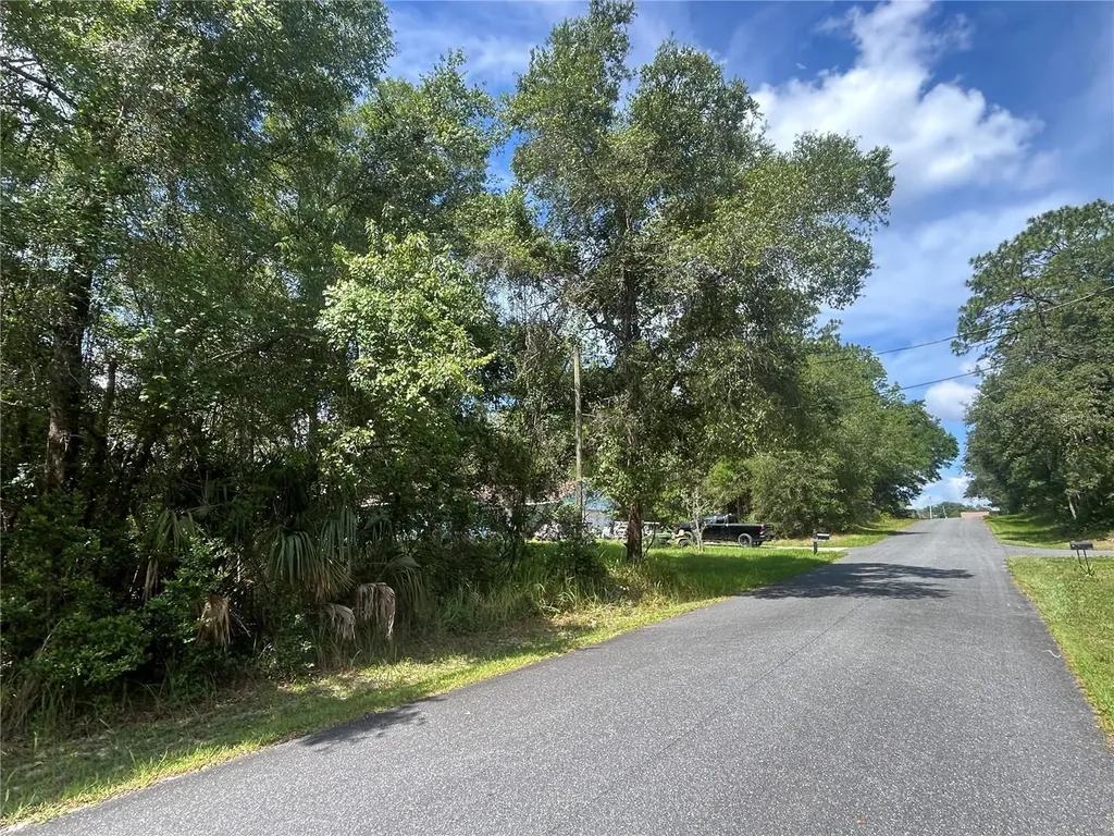3118 E Deal Street Inverness FL 34453