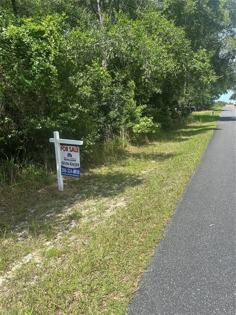 3118 E Deal Street Inverness FL 34453