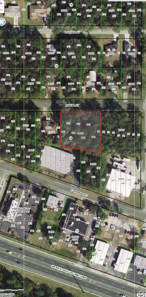 3118 E Deal Street Inverness FL 34453