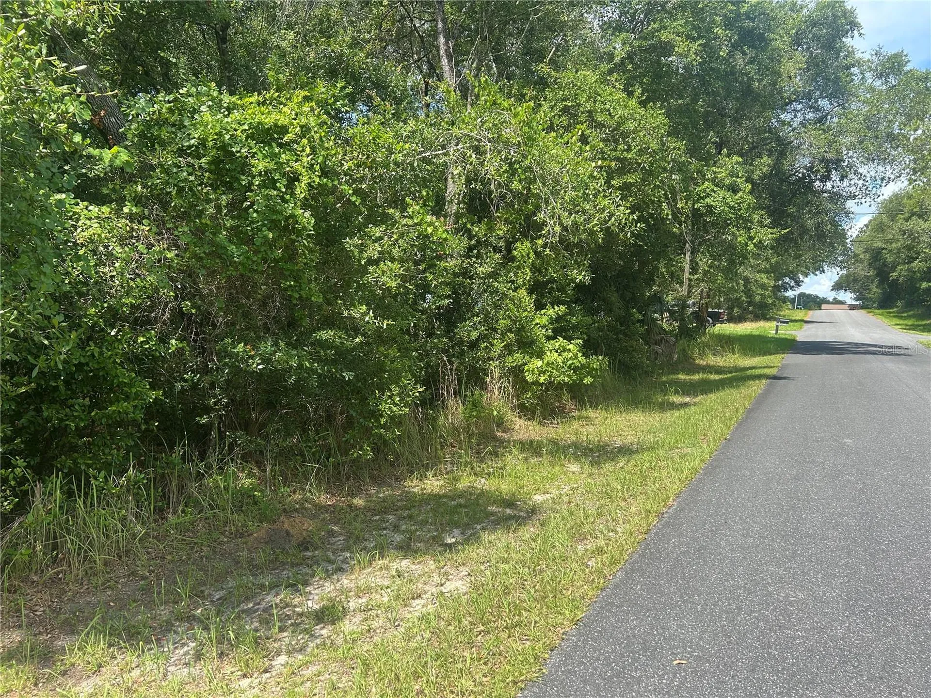 3118 E Deal Street Inverness FL 34453