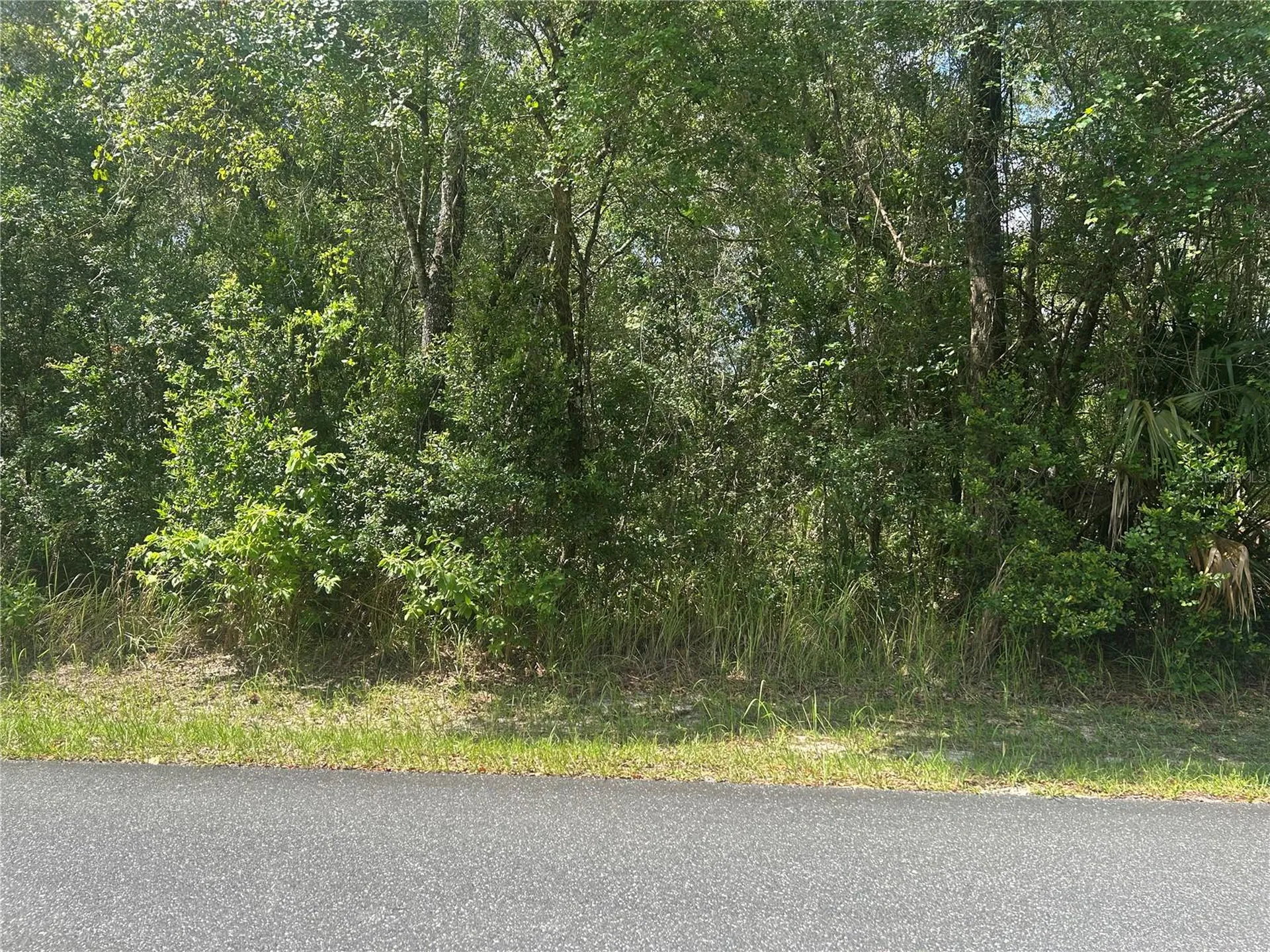 3118 E Deal Street Inverness FL 34453