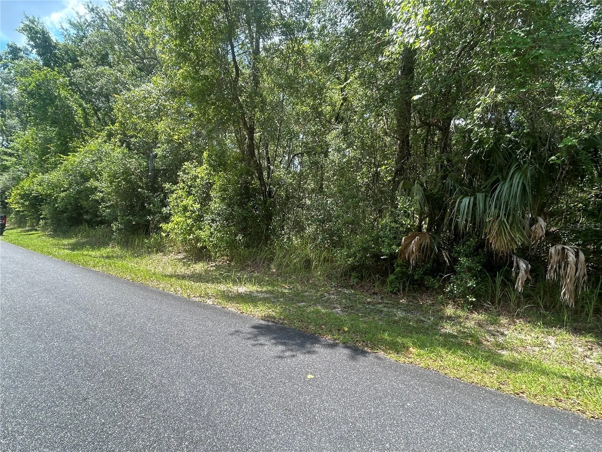 3118 E Deal Street Inverness FL 34453