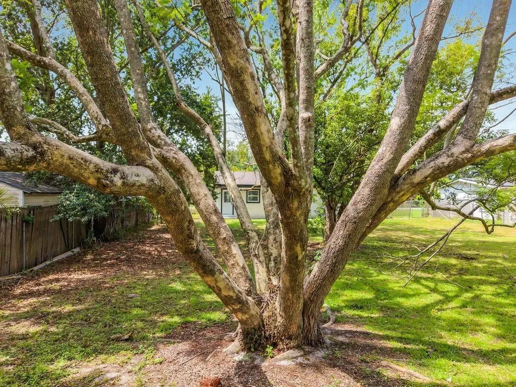 825 E Church Avenue Longwood FL 32750
