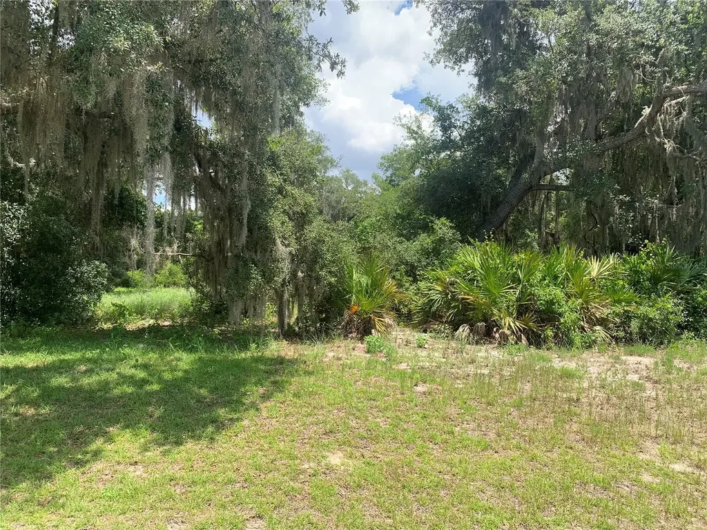 3113 Bright Lake Circle Groveland FL 34736