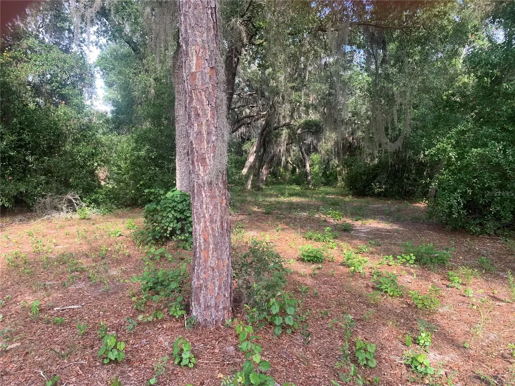 3113 Bright Lake Circle Groveland FL 34736