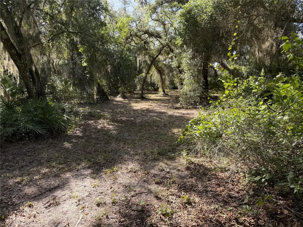 3113 Bright Lake Circle Groveland FL 34736
