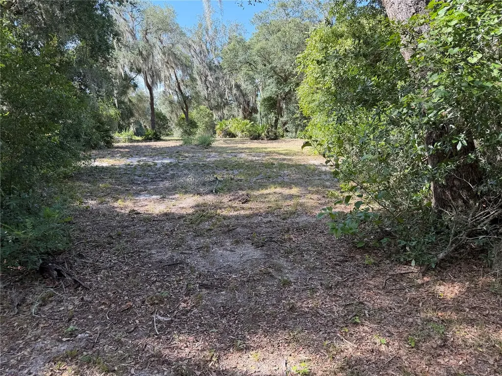 3113 Bright Lake Circle Groveland FL 34736