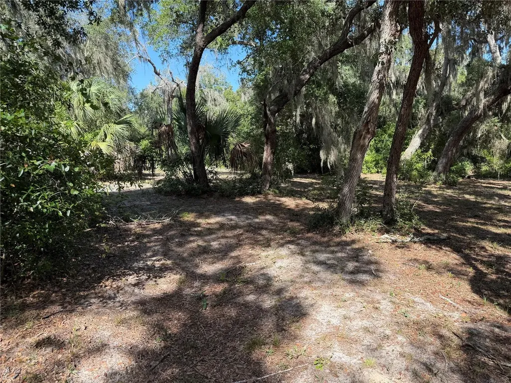3113 Bright Lake Circle Groveland FL 34736