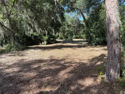 3113 Bright Lake Circle Groveland FL 34736