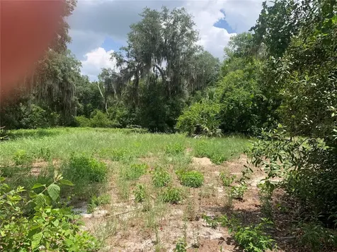 3113 Bright Lake Circle Groveland FL 34736