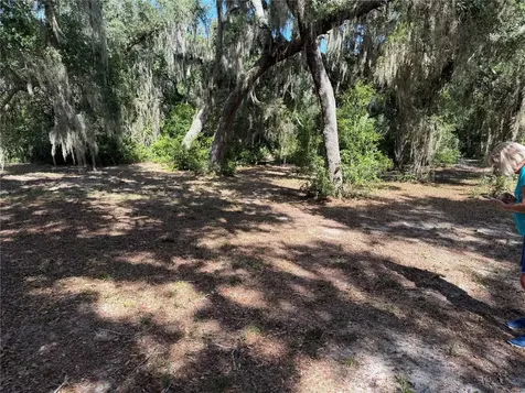 3113 Bright Lake Circle Groveland FL 34736
