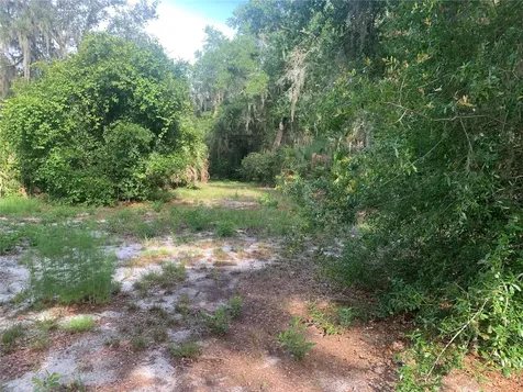 3113 Bright Lake Circle Groveland FL 34736