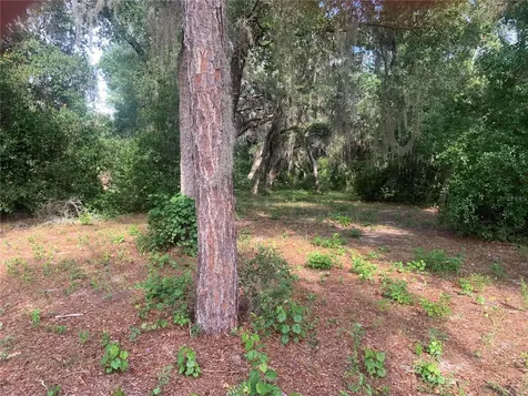 3113 Bright Lake Circle Groveland FL 34736