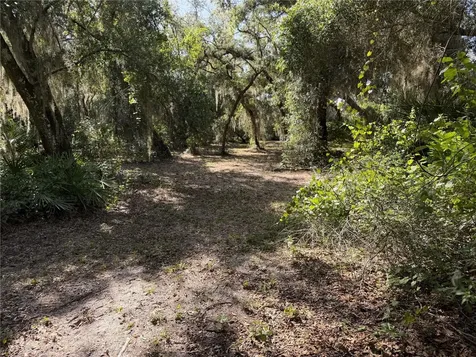 3113 Bright Lake Circle Groveland FL 34736