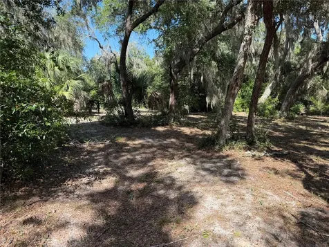 3113 Bright Lake Circle Groveland FL 34736