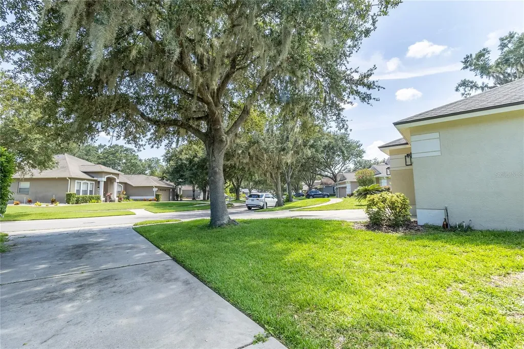 12526 River Birch Drive Riverview FL 33569