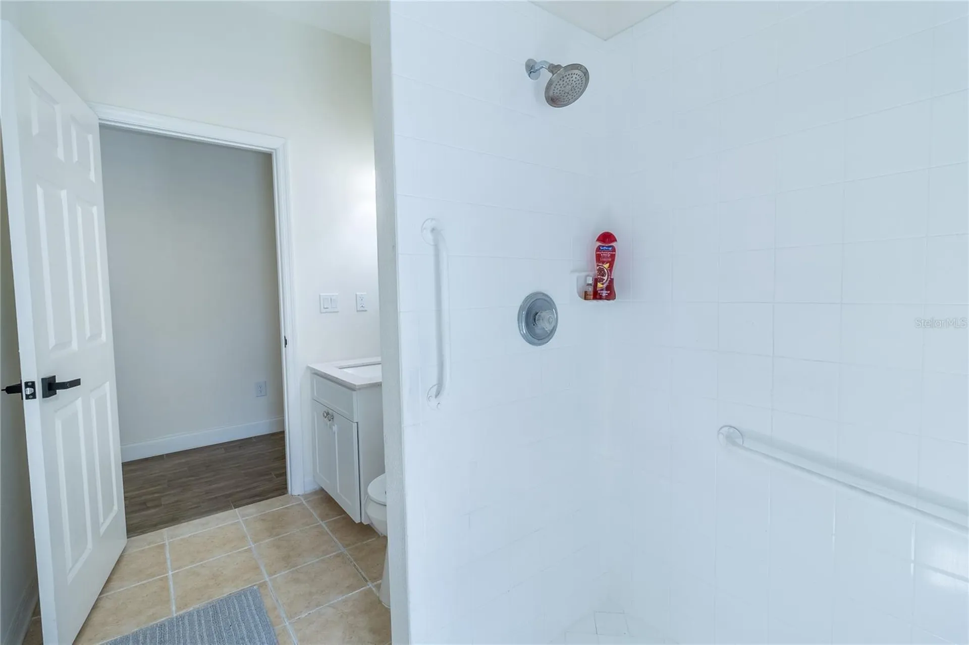 12526 River Birch Drive Riverview FL 33569