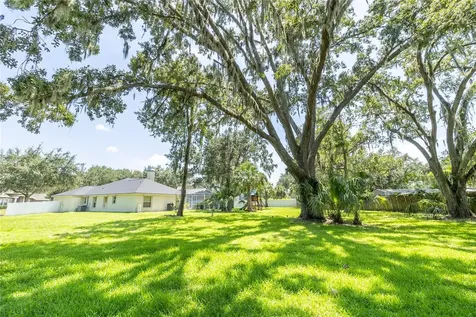 12526 River Birch Drive Riverview FL 33569