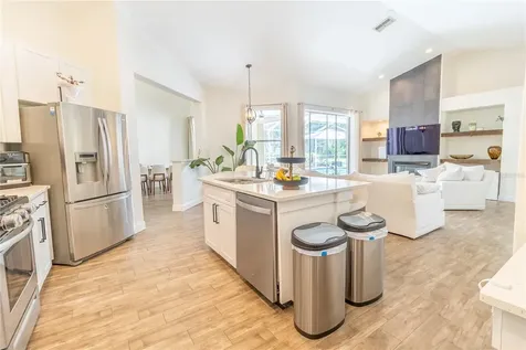 12526 River Birch Drive Riverview FL 33569