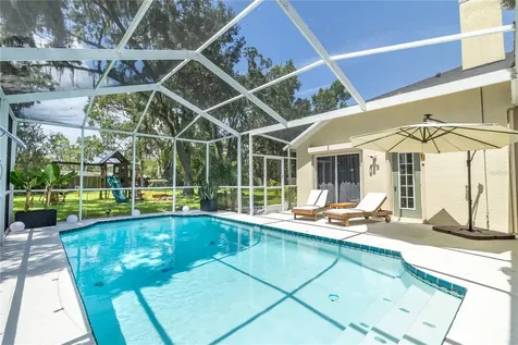 12526 River Birch Drive Riverview FL 33569