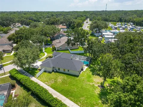 12526 River Birch Drive Riverview FL 33569