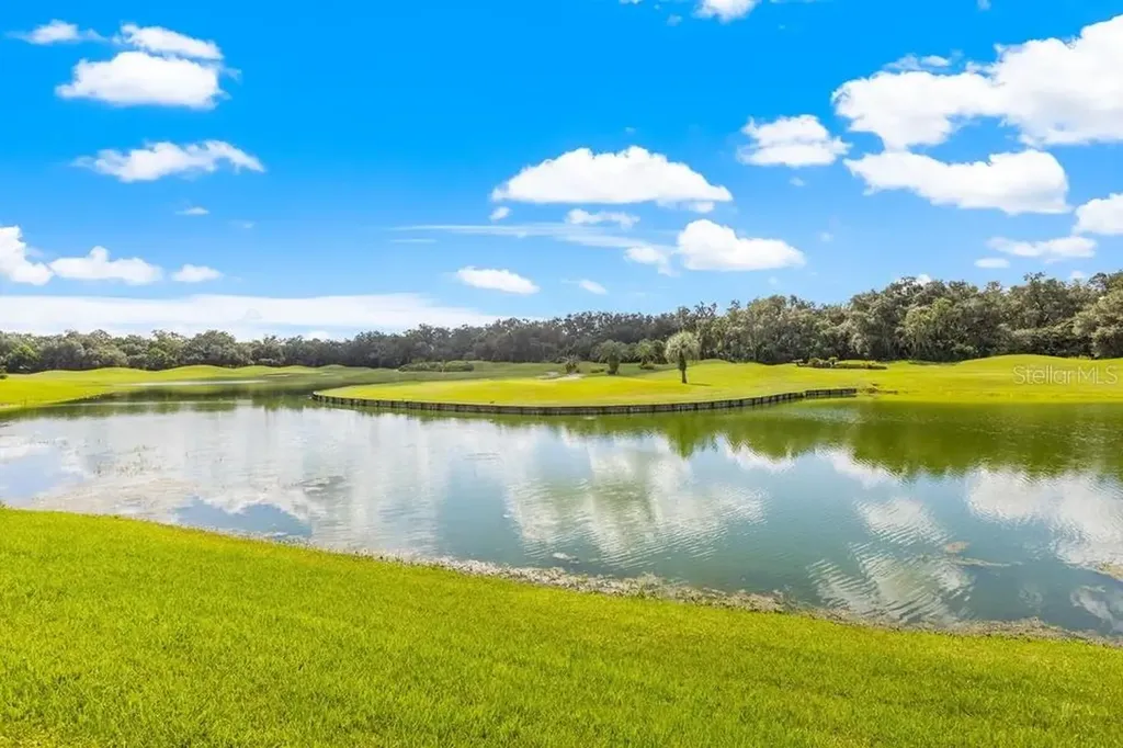 30324 Laurelwood Lane Wesley Chapel FL 33543