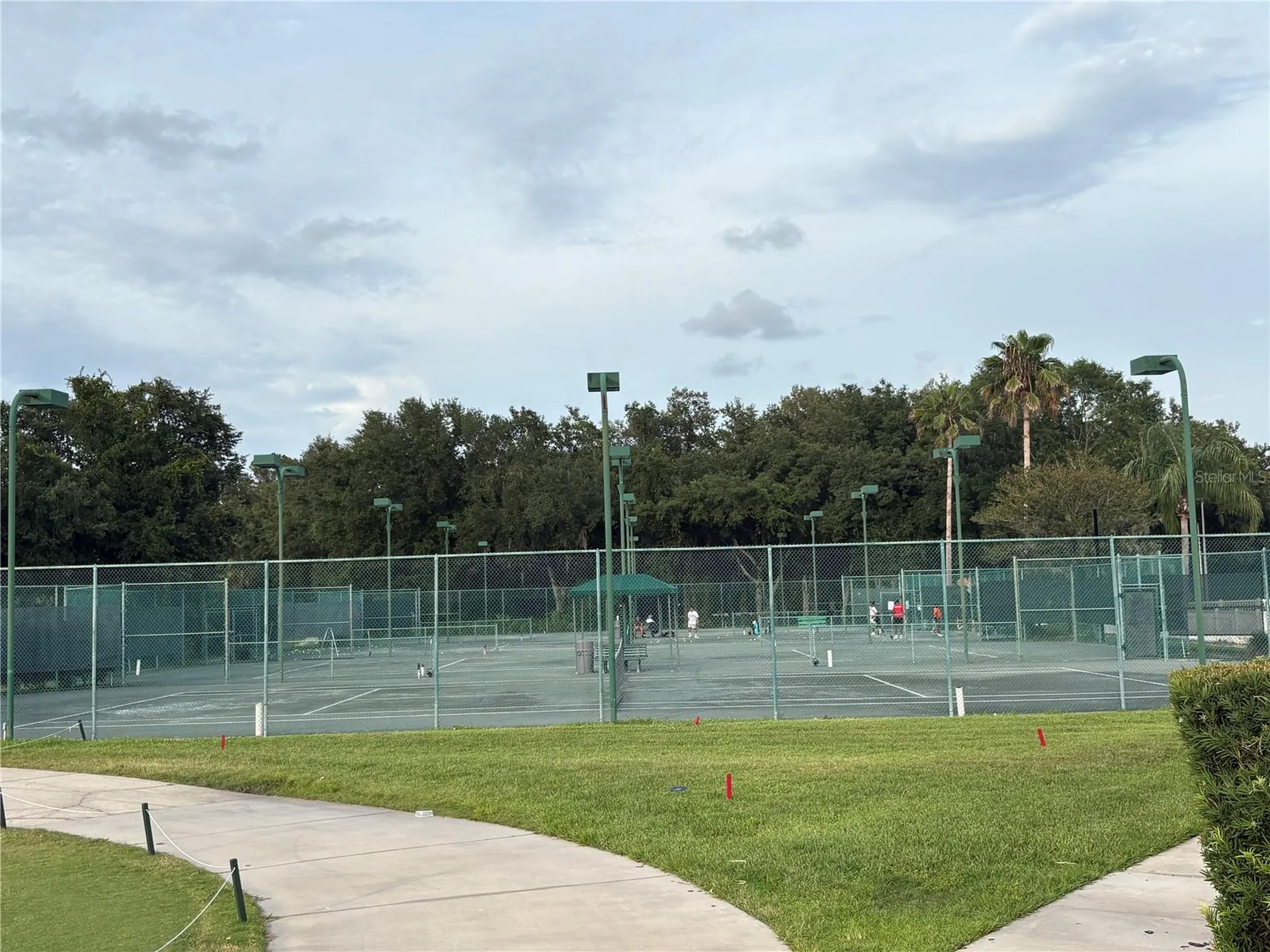 10525 Palm Cove Avenue Tampa FL 33647