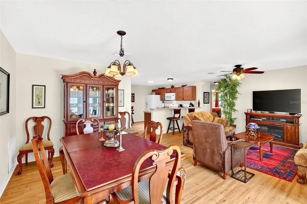 1463 Olympia Street The Villages FL 32163