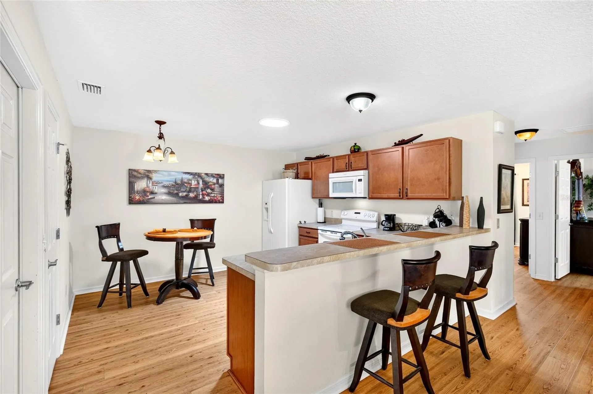 1463 Olympia Street The Villages FL 32163