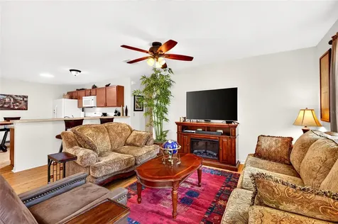 1463 Olympia Street The Villages FL 32163