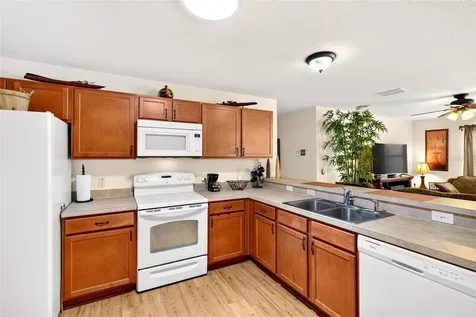 1463 Olympia Street The Villages FL 32163