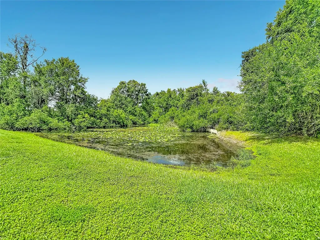 7015 Cardinalwood Lane Land O Lakes FL 34637