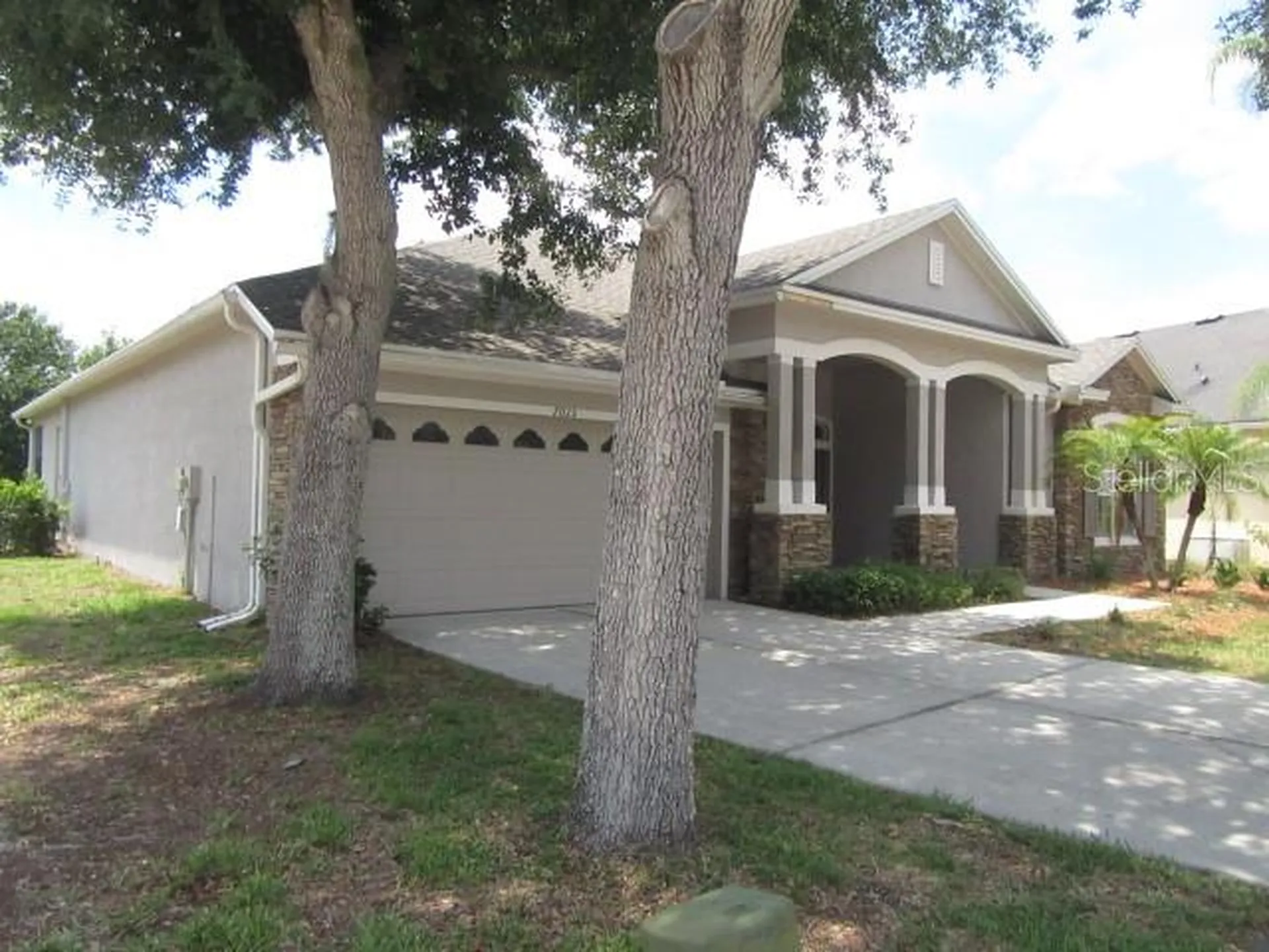 7015 Cardinalwood Lane Land O Lakes FL 34637