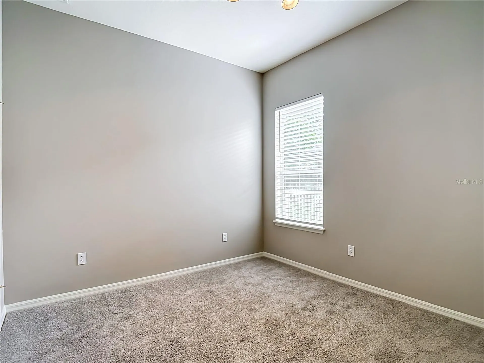 7015 Cardinalwood Lane Land O Lakes FL 34637