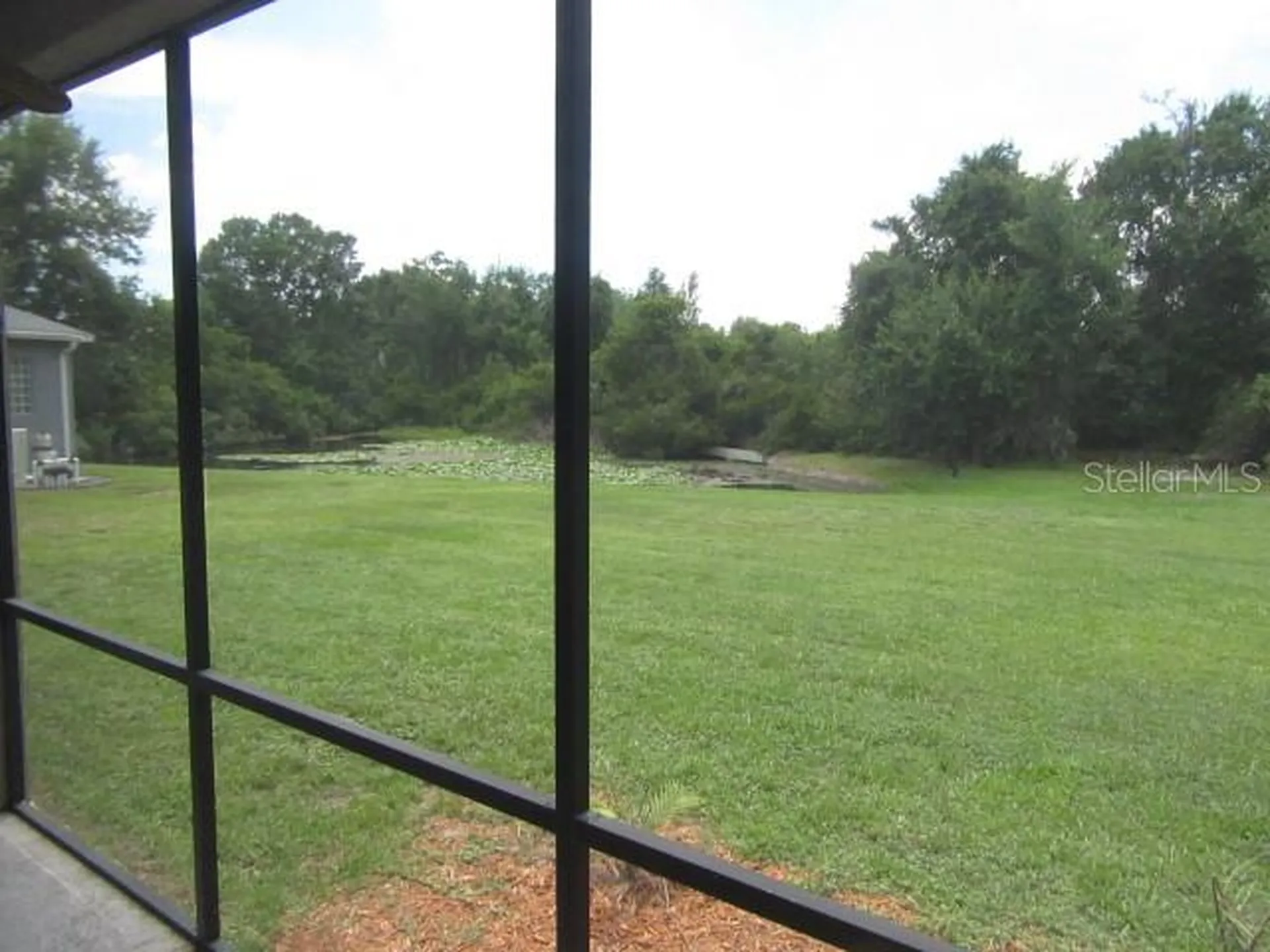 7015 Cardinalwood Lane Land O Lakes FL 34637