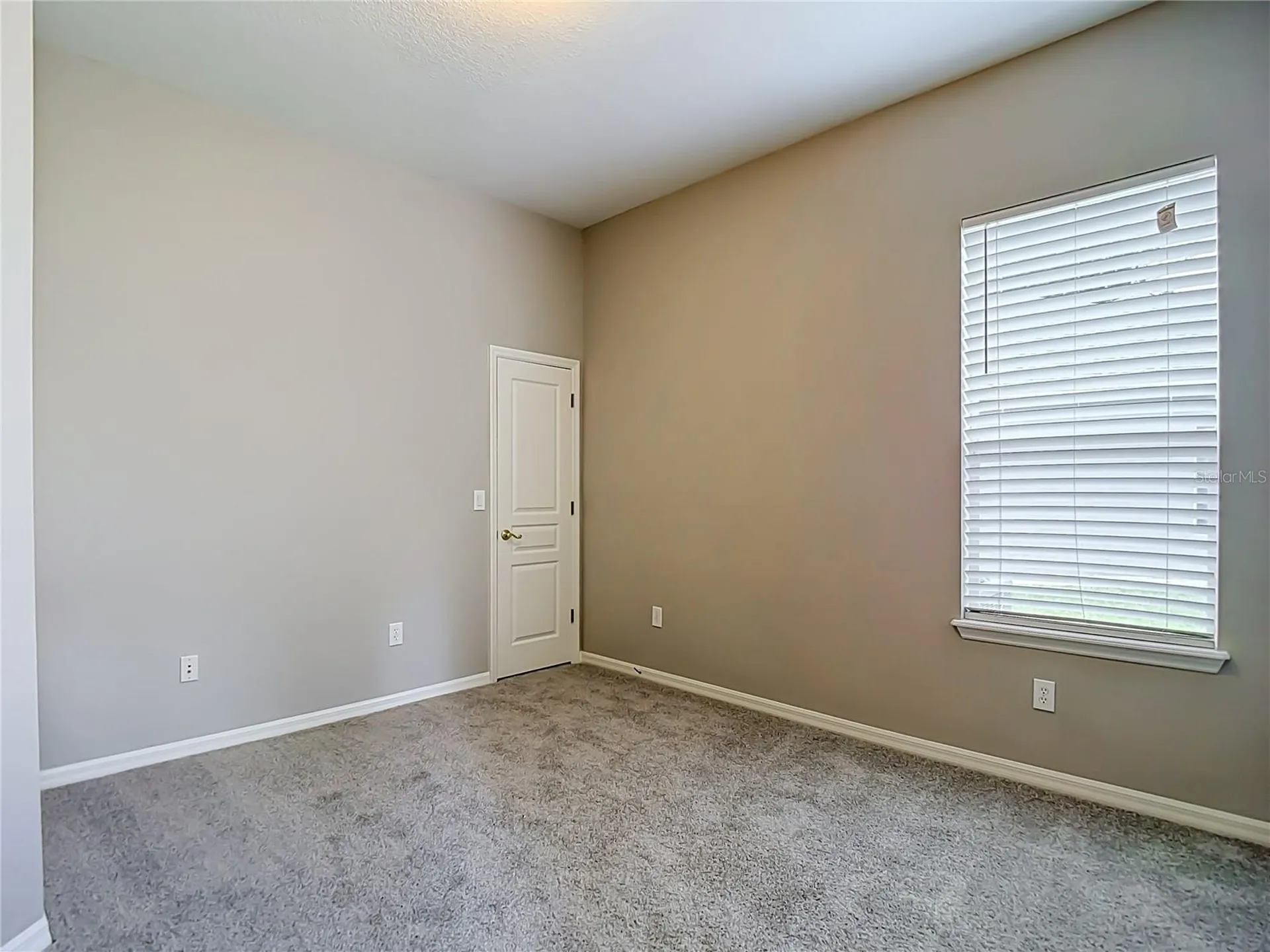 7015 Cardinalwood Lane Land O Lakes FL 34637