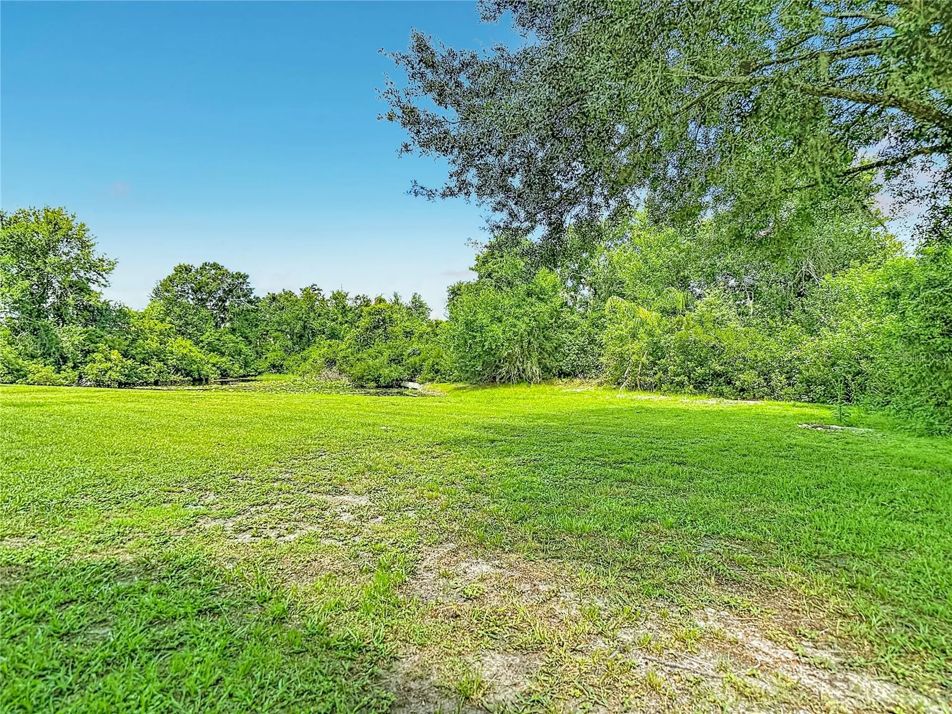 7015 Cardinalwood Lane Land O Lakes FL 34637