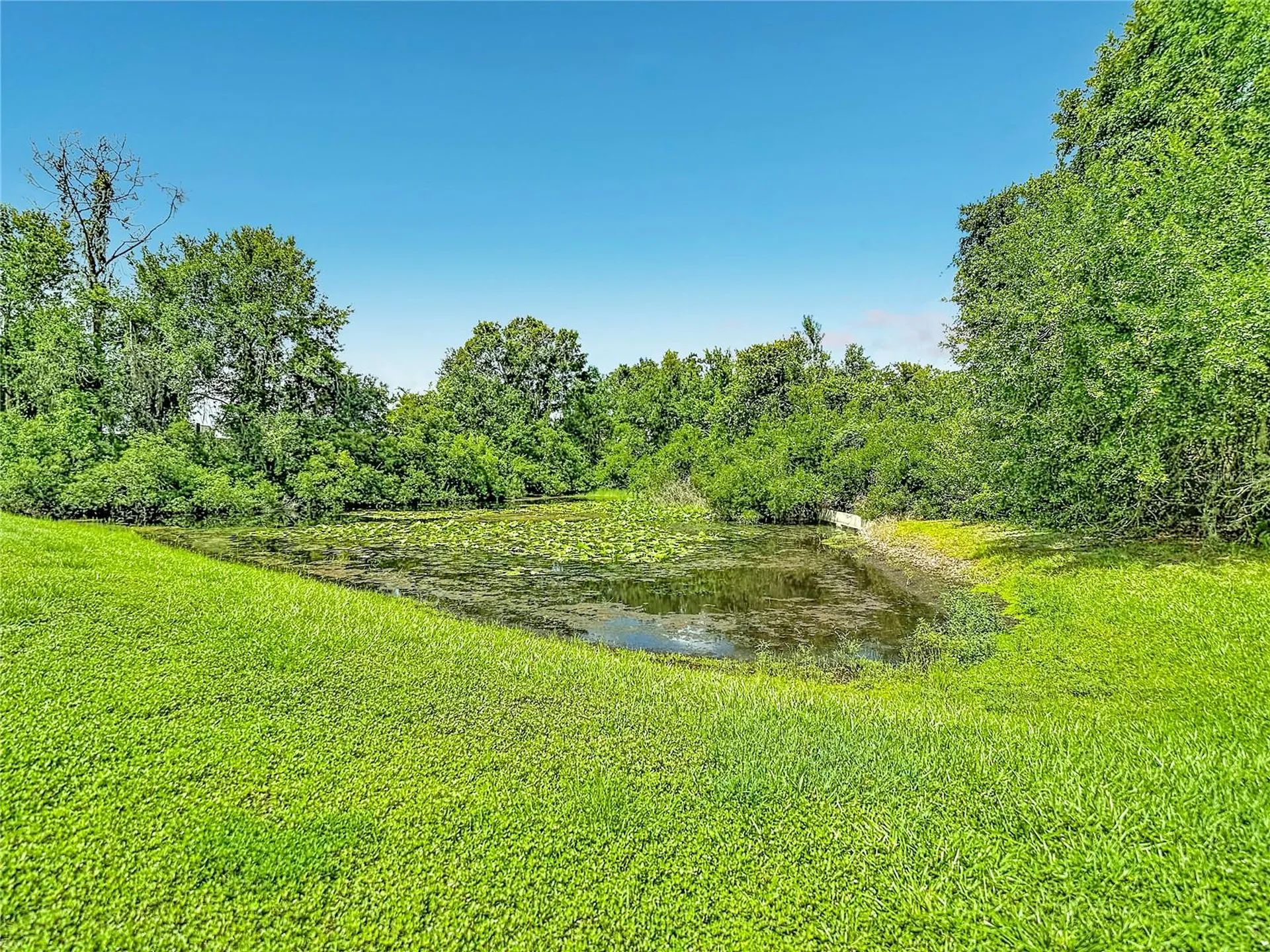 7015 Cardinalwood Lane Land O Lakes FL 34637