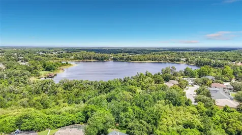 7015 Cardinalwood Lane Land O Lakes FL 34637