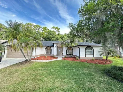 26035 Loblolly Lane Land O Lakes FL 34639