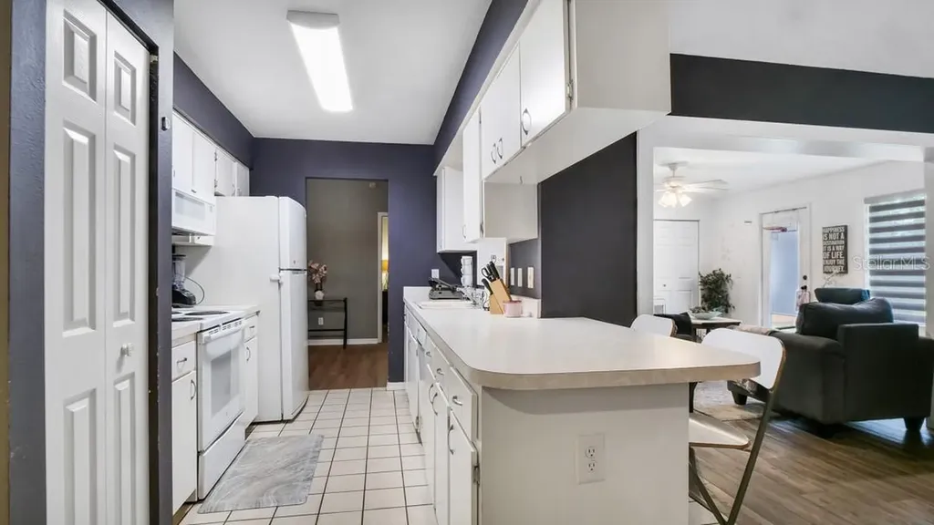 1048 Malletwood Drive Brandon FL 33510