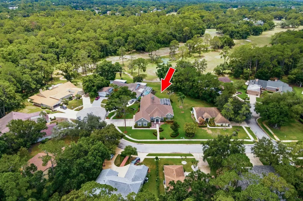 3480 Tanglewood Trail Palm Harbor FL 34685
