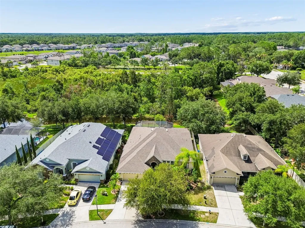 7308 Ambleside Drive Land O Lakes FL 34637