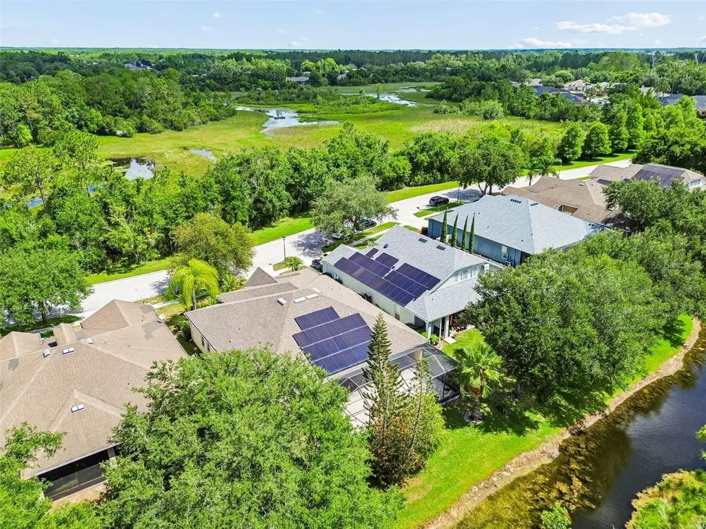 7308 Ambleside Drive Land O Lakes FL 34637