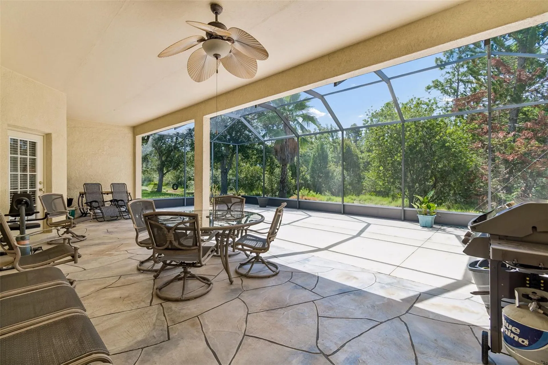 7308 Ambleside Drive Land O Lakes FL 34637