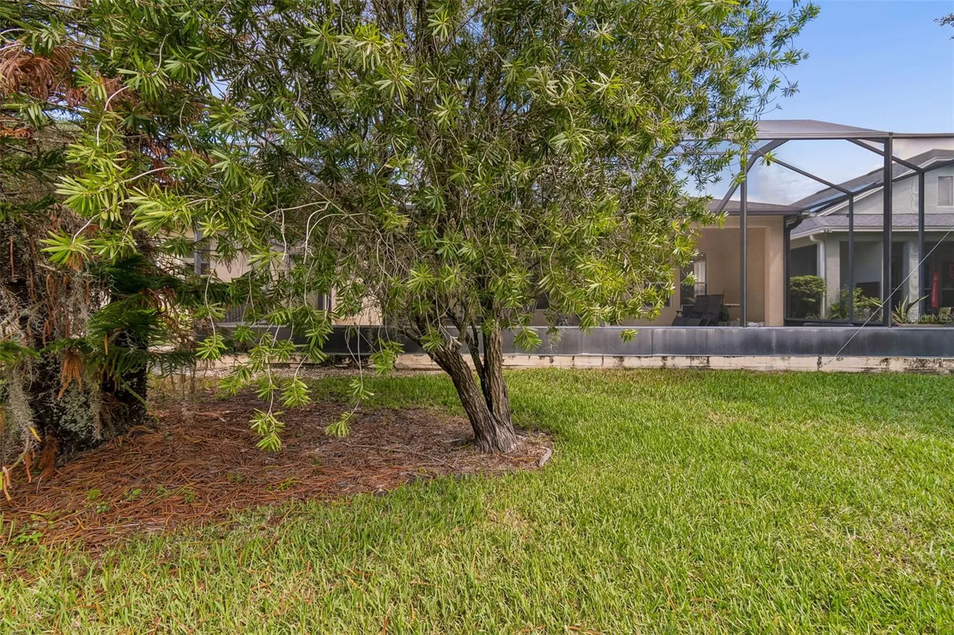 7308 Ambleside Drive Land O Lakes FL 34637