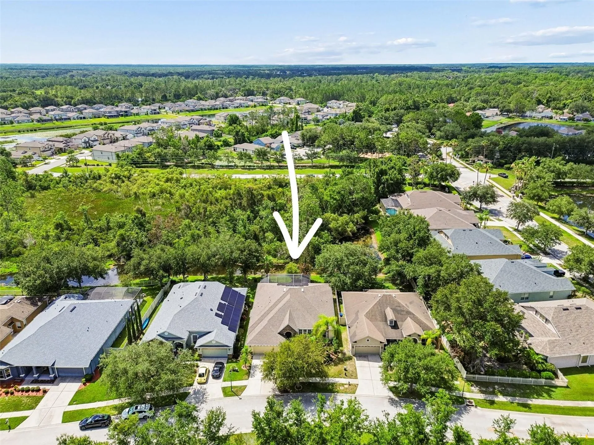 7308 Ambleside Drive Land O Lakes FL 34637