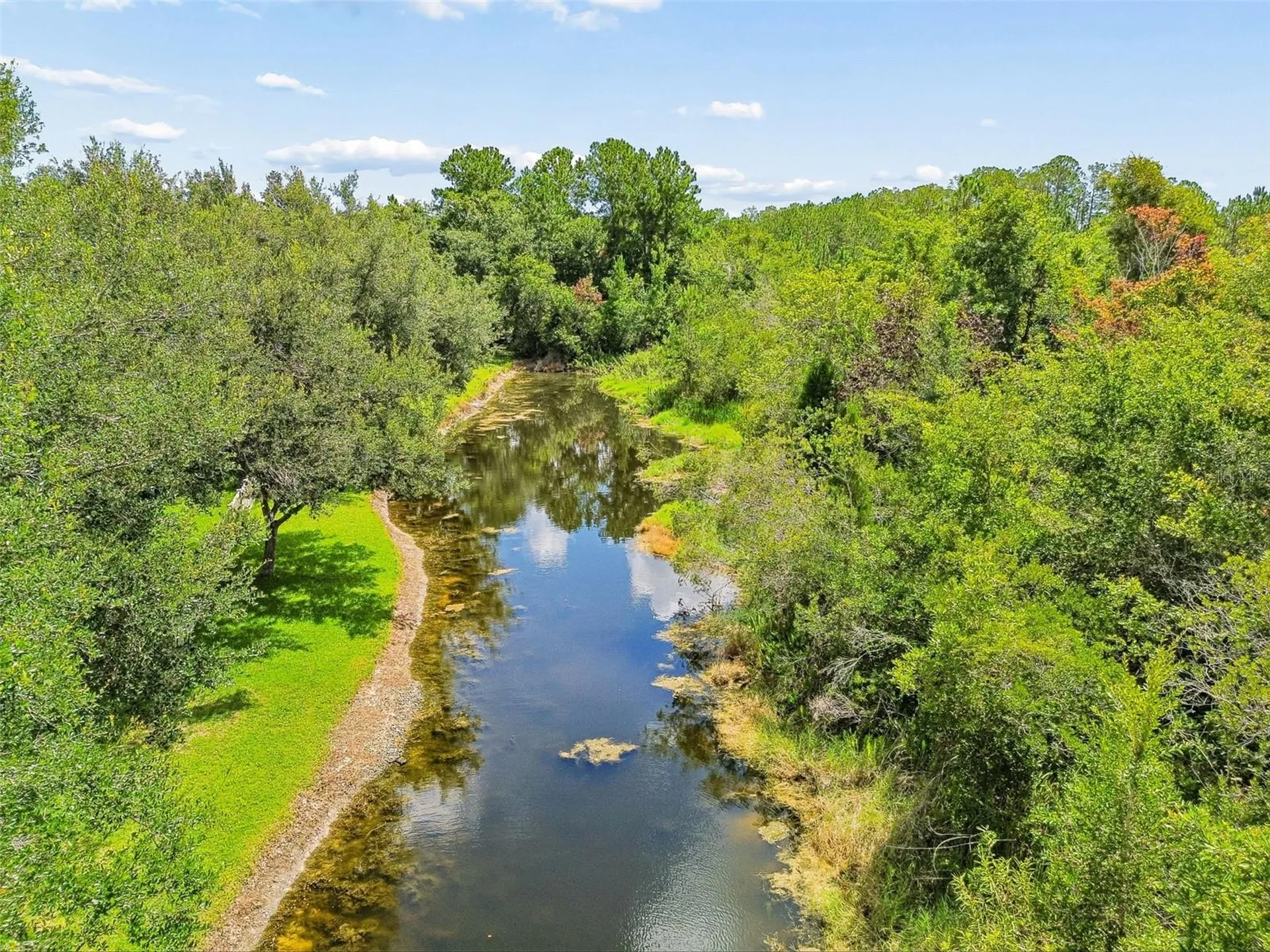 7308 Ambleside Drive Land O Lakes FL 34637