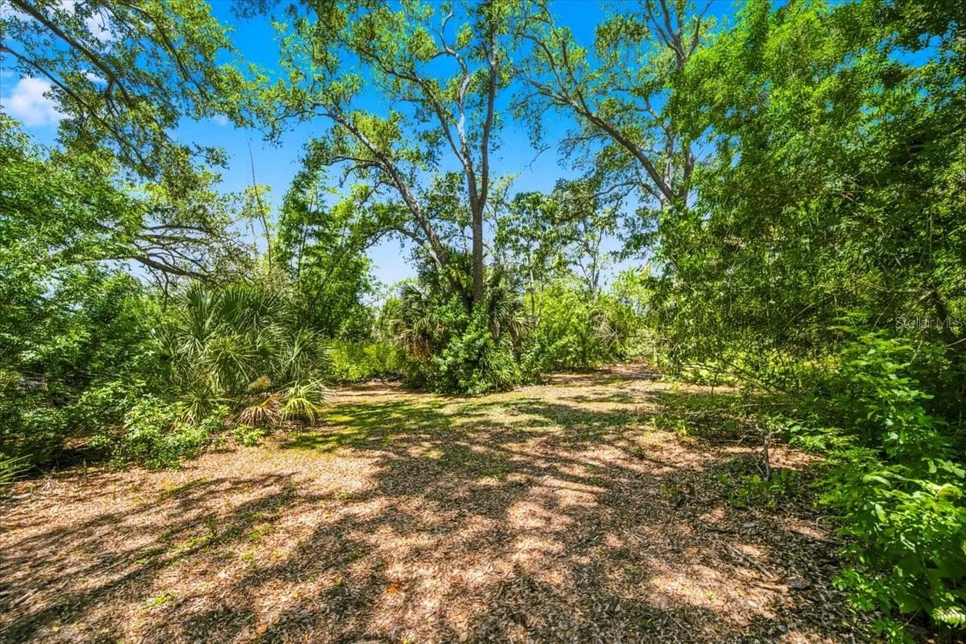 1680 Fox Road Clearwater FL 33764